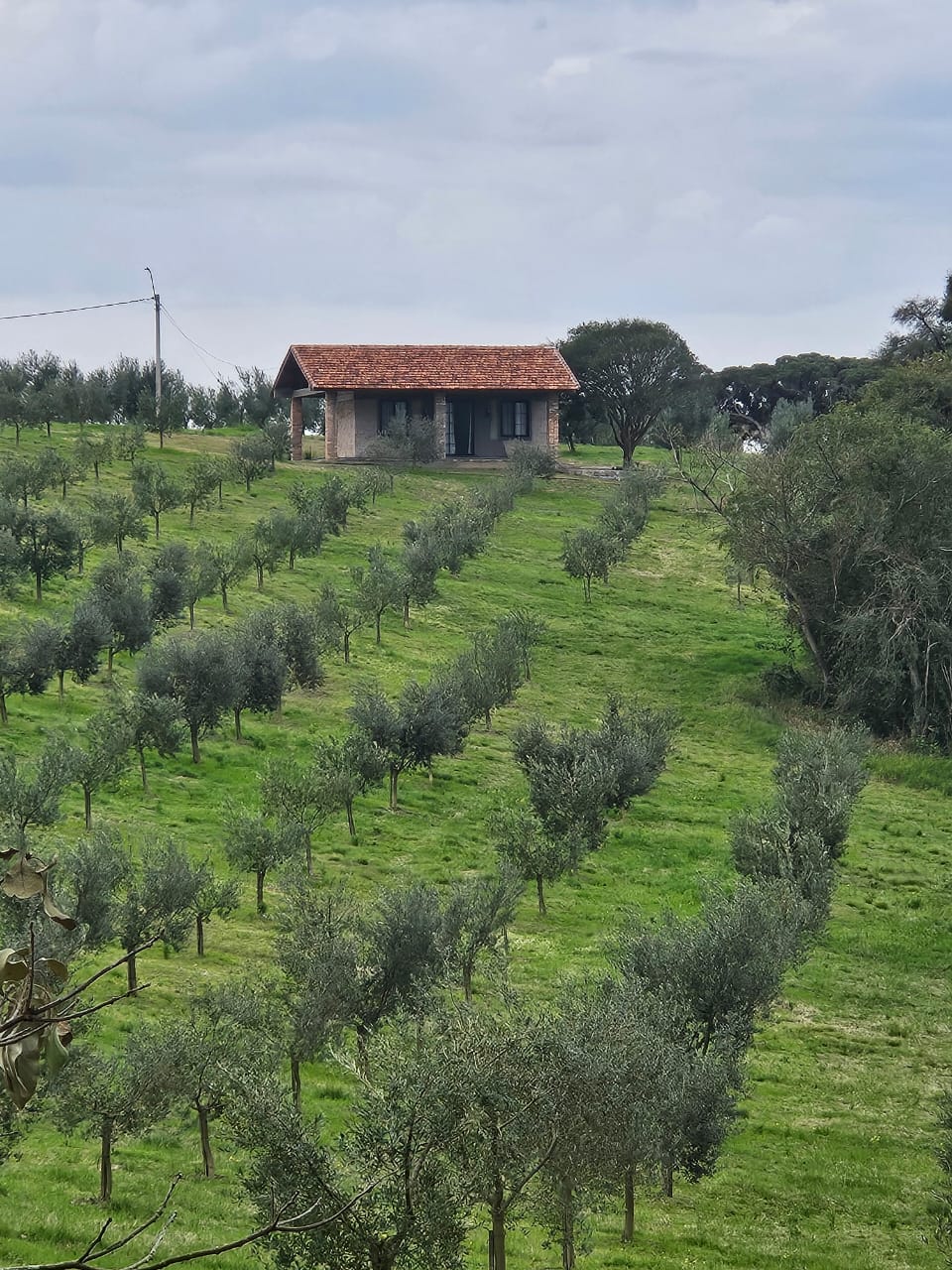 WhatsApp Image 2025-11-26 at 16.56.04 (2)